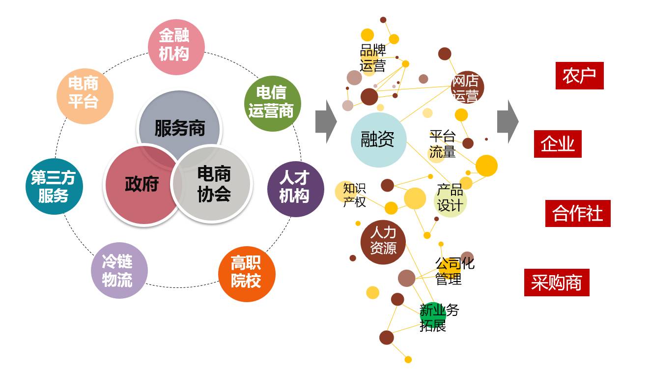 要定位，更要落地 縣域農(nóng)業(yè)電商“麻陽模式”初探