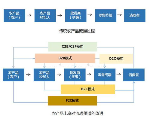 2020年農(nóng)產(chǎn)品電商 五大發(fā)展趨勢(shì)與電子商務(wù)服務(wù)深度融合